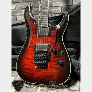 E-II HORIZON FR-II # See Thru Black Cherry Sunburst 2023年製【EMG 66TW & 57TW】w/GIG 3.80kg