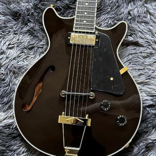エレクトリックギター ＞ フルアコの検索結果【楽器検索デジマート】