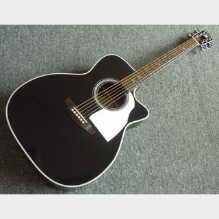 SHELLYの検索結果【楽器検索デジマート】