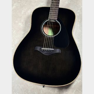 アコースティックギター／エレクトリック・アコースティックギター