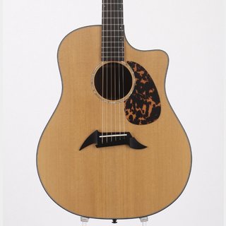 値引き❗美品‼️Breedlove Breedlove　 ハードケース 楽天市場】【マラソン限定！最大p41倍&選べるノベルティ付