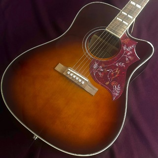 Epiphone LTD Hummingbird Performer PRO【現物画像】