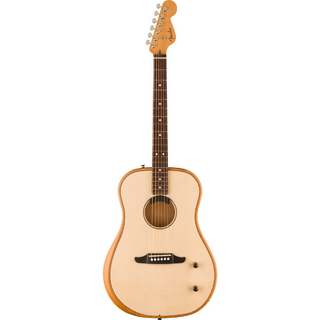 Fender、Highway Series Dreadnoughtの検索結果【楽器検索デジマート】