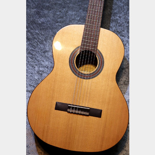 Orpheus Valley Guitars 【小物6点サービス!】Fiesta F65C 杉 / ローズウッド【お勧め!】【現物写真】【池袋店在庫品】