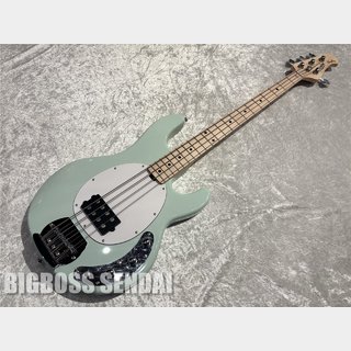 Sterling by MUSIC MAN Ray4/Mint Green【即納可能】