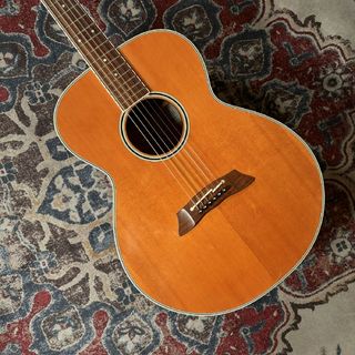 Takamine PT100SP