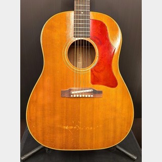 アコースティックギター、12弦の検索結果【楽器検索デジマート】