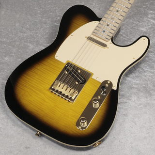 Fender Japan Exclusive Richie Kotzen Telecaster Brown Sunburst【新宿店】
