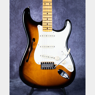エレクトリックギター ＞ STタイプ、Fender、Eric Johnson Thinline