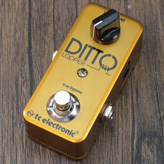 tc electronic Lmited Edition Ditto Looper Gold ルーパー【名古屋栄店】