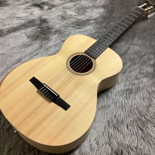 アコースティックギター／エレクトリック・アコースティック