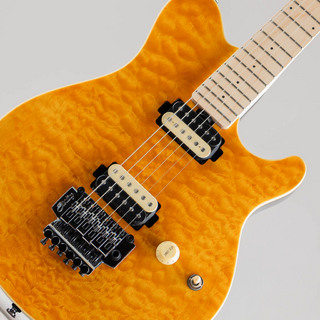 Sterling by MUSIC MAN AX40 / Trans Gold