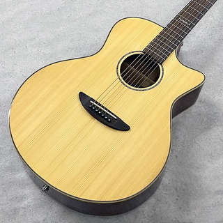 アコースティックギター／エレクトリック・アコースティックギター