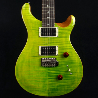 Paul Reed Smith(PRS)SE Custom 24 Eriza Verde