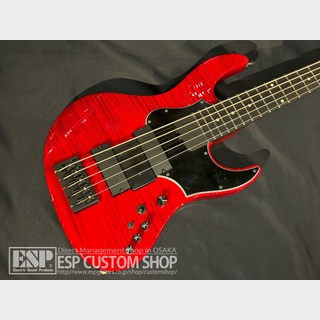 ESP AMAZE-5-190