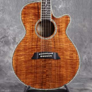エレクトリック・アコースティックギター、Takamineの検索結果【楽器