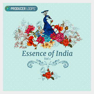 PRODUCER LOOPS ESSENCE OF INDIA VOL 1