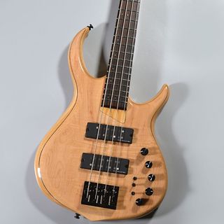 エレクトリック・ベース ＞ 変形タイプの検索結果【楽器検索デジマート】