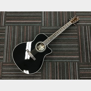エレクトリック・アコースティックギター、Morrisの検索結果【楽器検索