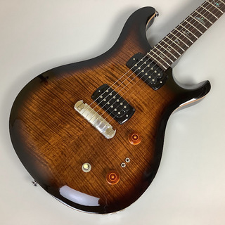 Paul Reed Smith(PRS)、SE Paul's Guitarの検索結果【楽器検索 Paul Reed Smith(PRS)、SE Paul's Guitarの検索結果【楽器検索