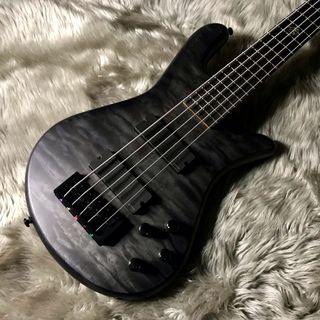 Spector NS PULSE II 5 Matte(BSM) 【現物画像】