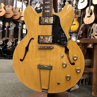 Archtop Tribute AT135TTP 【中古/ご委託品】【2017年代】