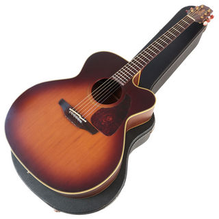 Takamine 【中古】アコースティックギター TAKAMINE タカミネ NPT-012 BS エレアコ 純正ハードケース付き