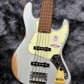 Vivie Dolphin Deverb (山野楽器 ロックイン難波限定カラー) Vivie Dolphin Deverb (山野楽器 ロックイン難波限定カラー)