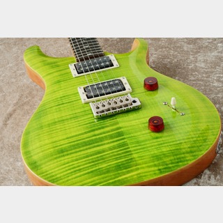 Paul Reed Smith(PRS) SE CUSTOM 24 ～Eriza Verde～【48回無金利】