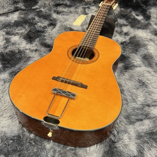 Framus Framus Hootenanny 12-String Vintage Tinted Nitro