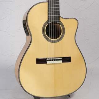 エレガットギターの検索結果【楽器検索デジマート】