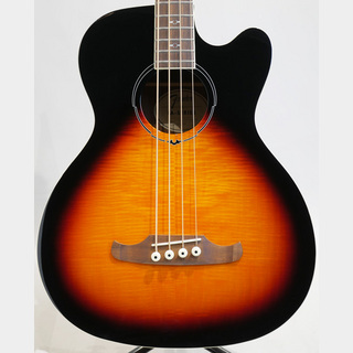 Fender AcousticsFA-450CE