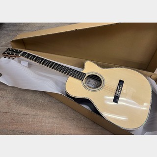 アコースティックギターの検索結果【楽器検索デジマート】