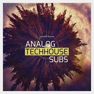 DELECTABLE RECORDS ANALOG TECH HOUSE SUBS