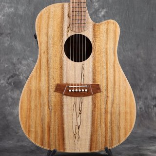 アコースティックギター／エレクトリック・アコースティックギター