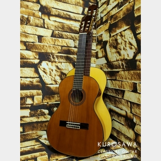 ARIAアリア A20-53 ミニギター【日本総本店2F 在庫品】