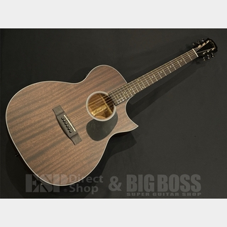 エレクトリック・アコースティックギター、ARIAの検索結果【楽器検索