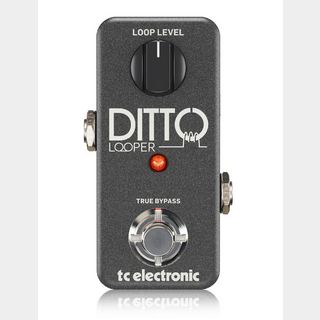 to electronic DITTO LOOPER