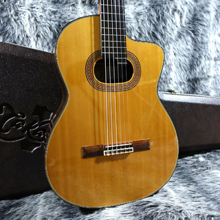 Takamine NPT-315