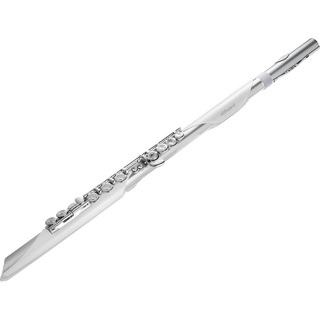 Roland エアロフォンブリサ Aerophone Brisa