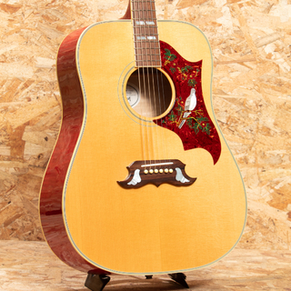 Gibson Dove AN 2010