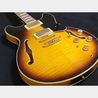 エレクトリックギター ＞ セミアコ、Ibanezの検索結果【楽器検索