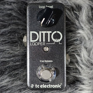 tc electronic Ditto Looper