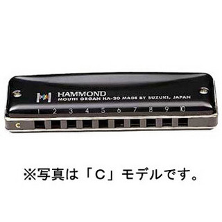 HammondHAMMOND HA-20 F スズキ 10穴ハーモニカ