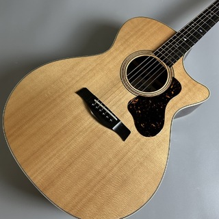 Switch Custom Guitars GA-70C