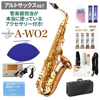 YANAGISAWAA-WO2 アルトサックスセット 【管楽器担当が本当に使っているアクセサリー付き！】【未展示新品】