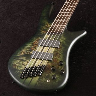 Spector NS Dimension MS5 Haunted Moss Matte【御茶ノ水本店】