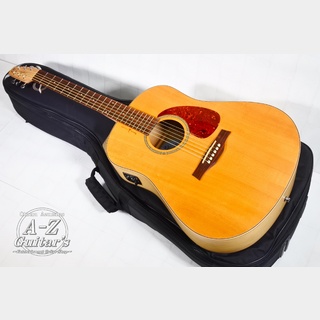 Seagull Natural Elements Dreadnaught SG T35