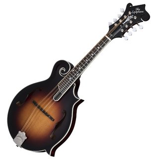 弦楽器、Epiphoneの検索結果【楽器検索デジマート】
