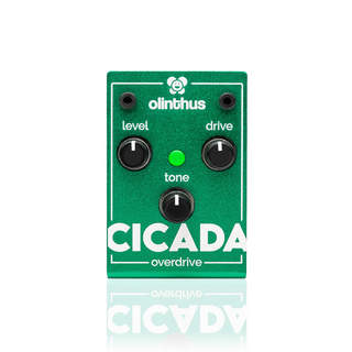 Olinthus CICADA